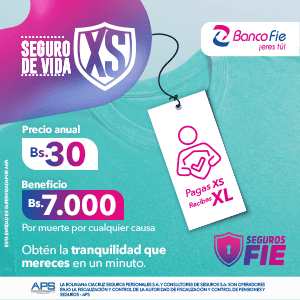 ACG FIE PDM SEGURO XS BANNERS BRÚJULA DIGITAL 300x300