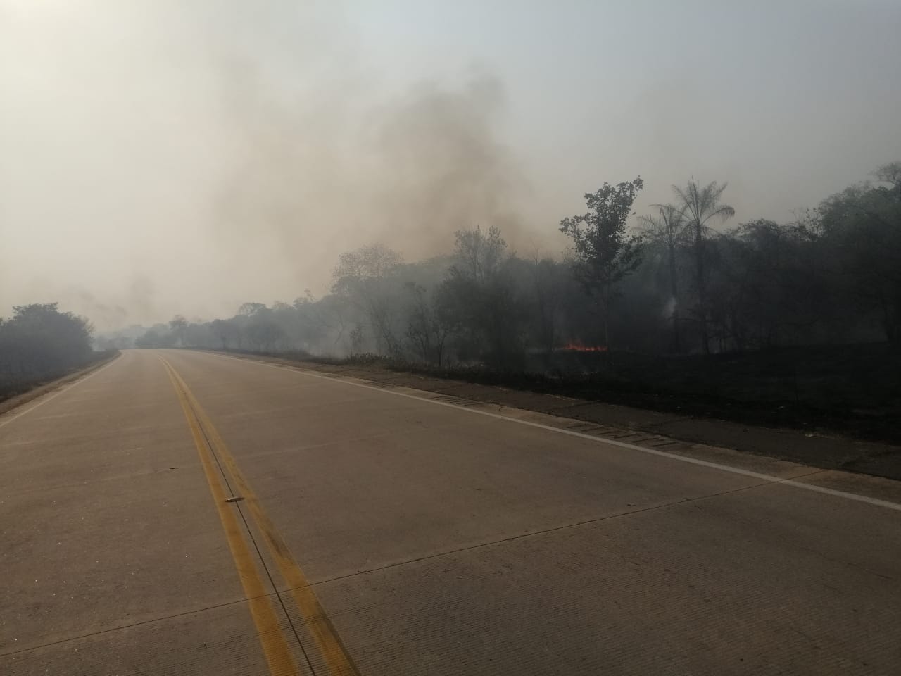 GALERIA: Los incendios forestales en la Chiquitanía en fotos
