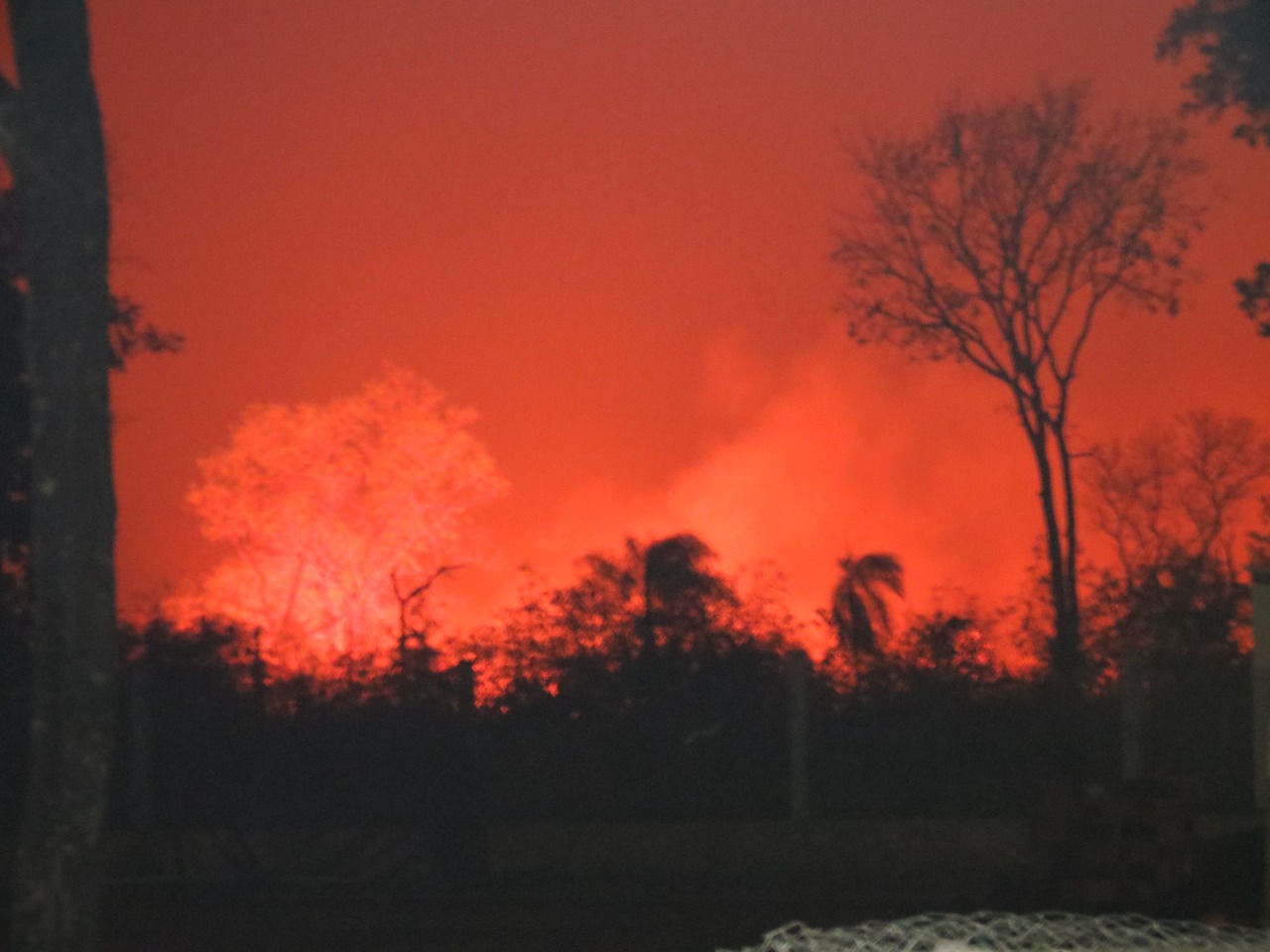 GALERIA: Los incendios forestales en la Chiquitanía en fotos