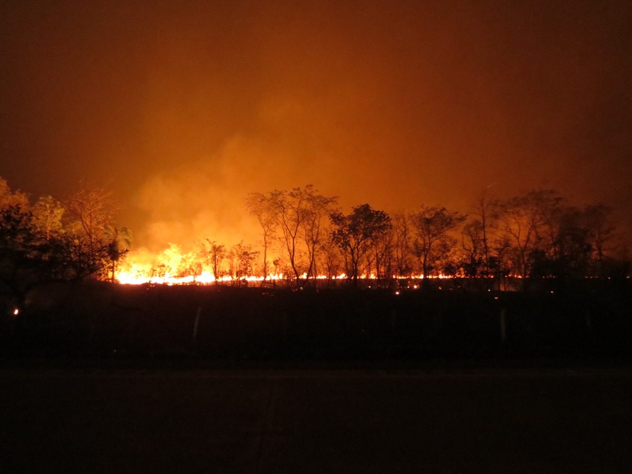 GALERIA: Los incendios forestales en la Chiquitanía en fotos