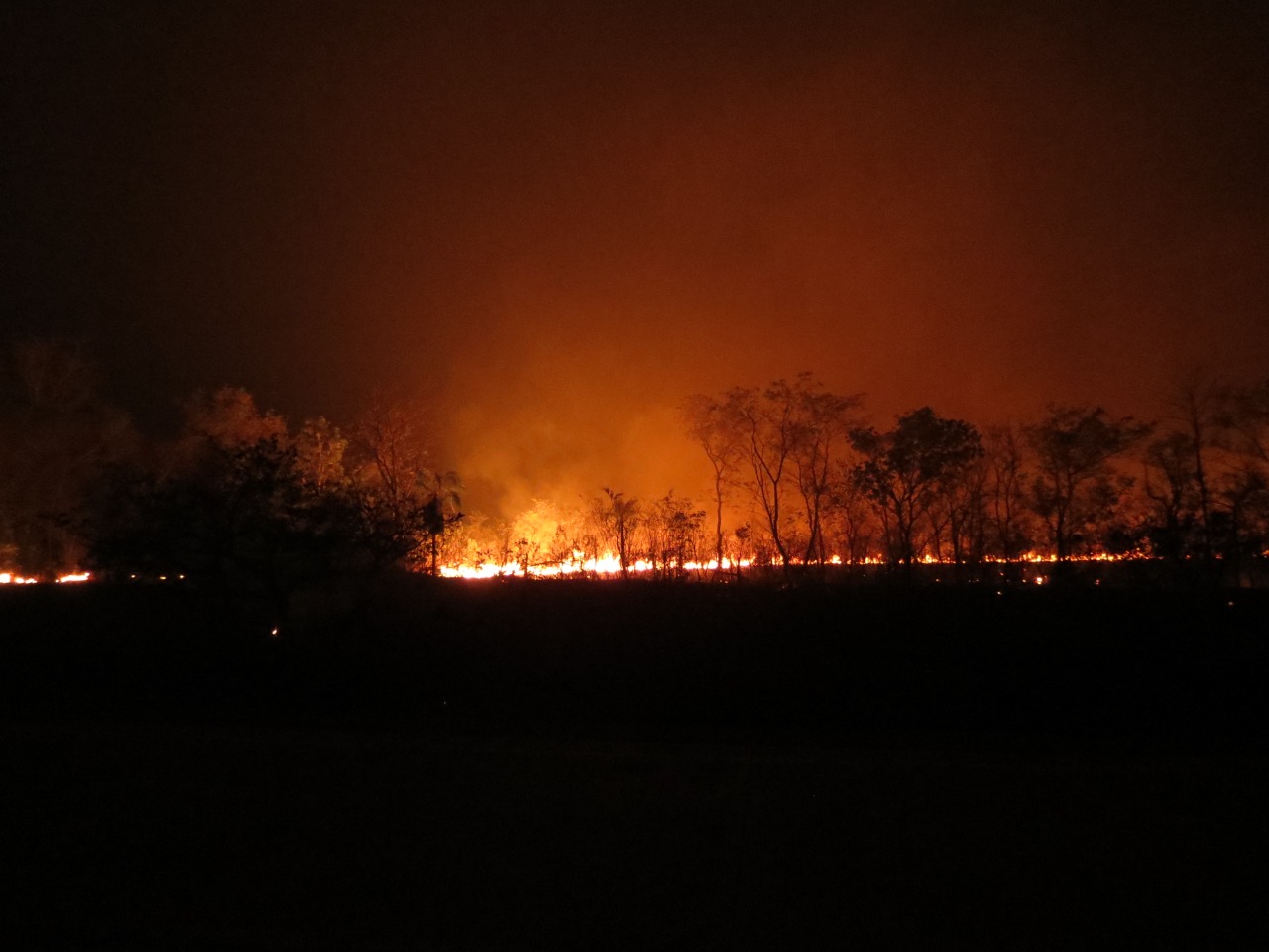 GALERIA: Los incendios forestales en la Chiquitanía en fotos