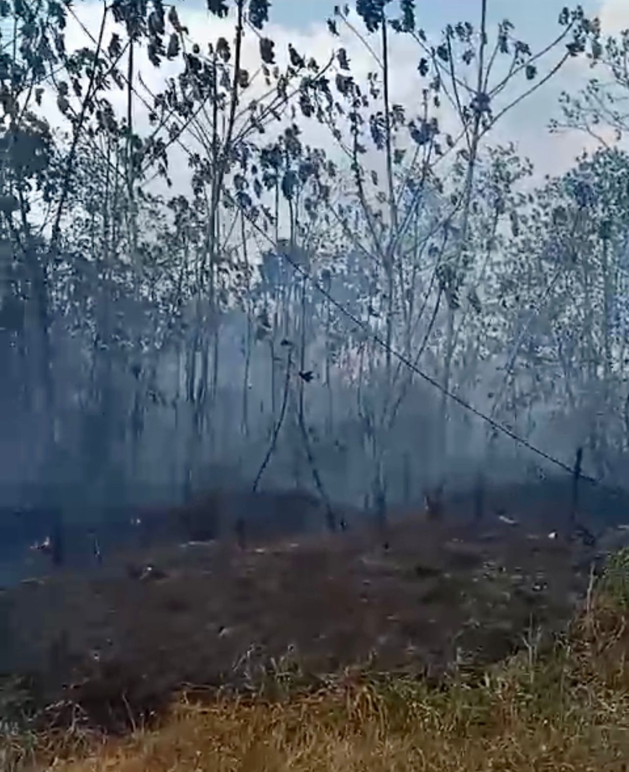  Incendios en San Borja dejan a varias familias sin casa, aumentan pedidos de ayuda a las autoridades 