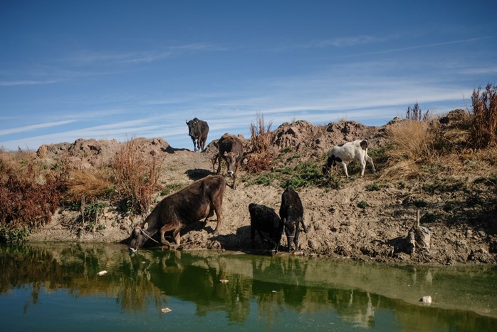 Los ignorados de la bahía de Cohana y una inversión de $us 86 millones aún sin resultados visibles
