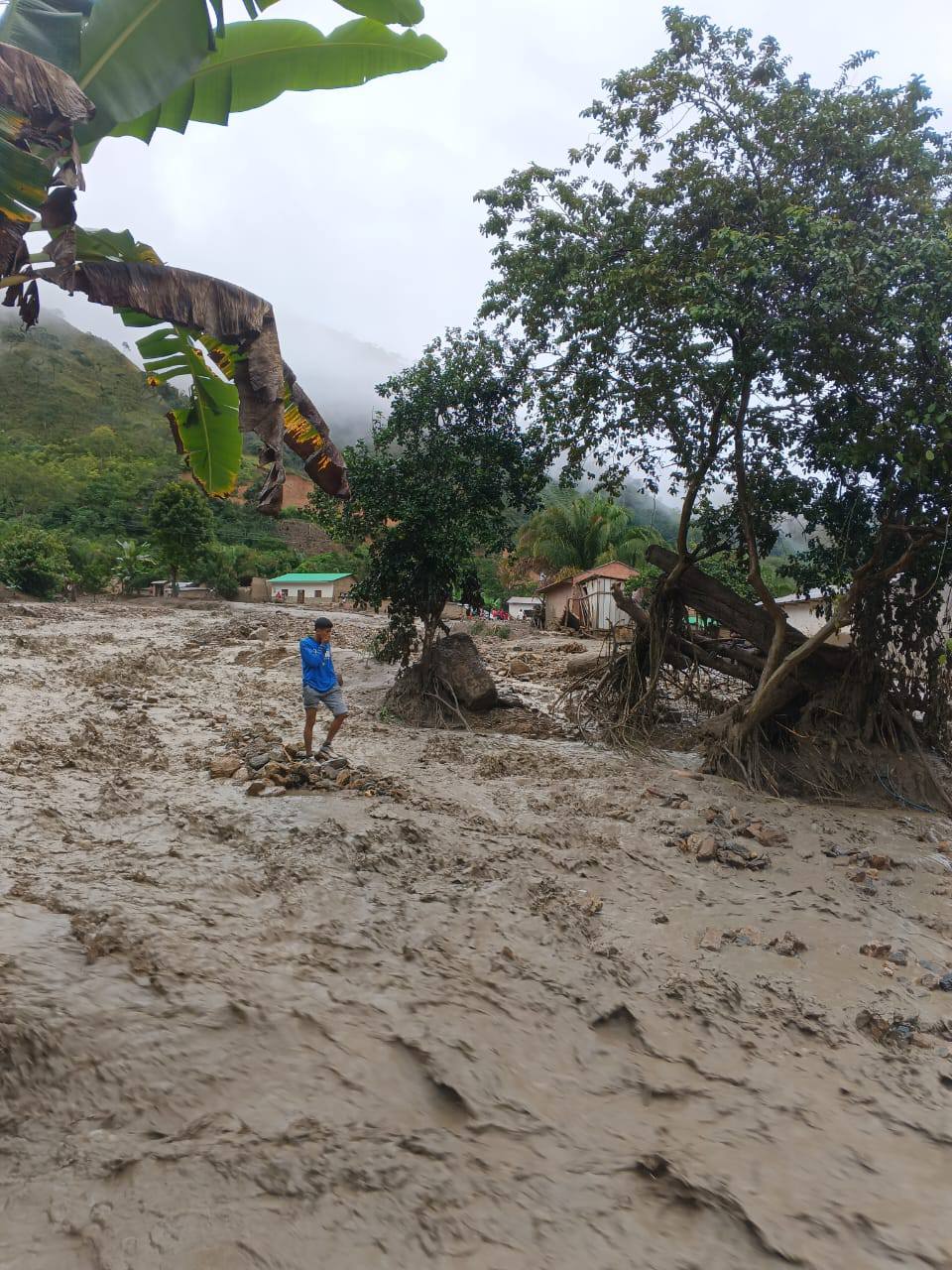 Mazamorra afecta parte de un campamento minero en una comunidad de Apolo