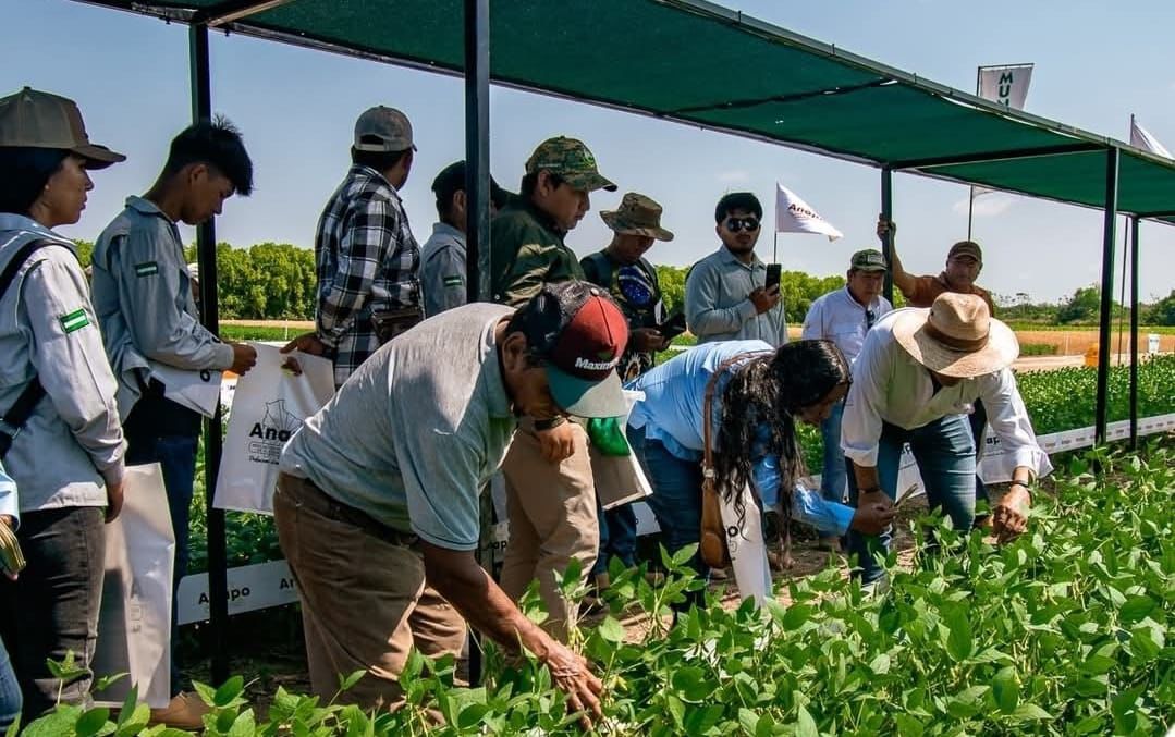 Agricultores del Norte Integrado cruceño reafirman la sostenibilidad en la Exposoya del Norte