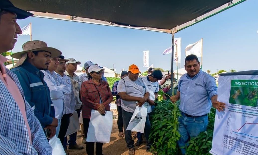 Agricultores del Norte Integrado cruceño reafirman la sostenibilidad en la Exposoya del Norte