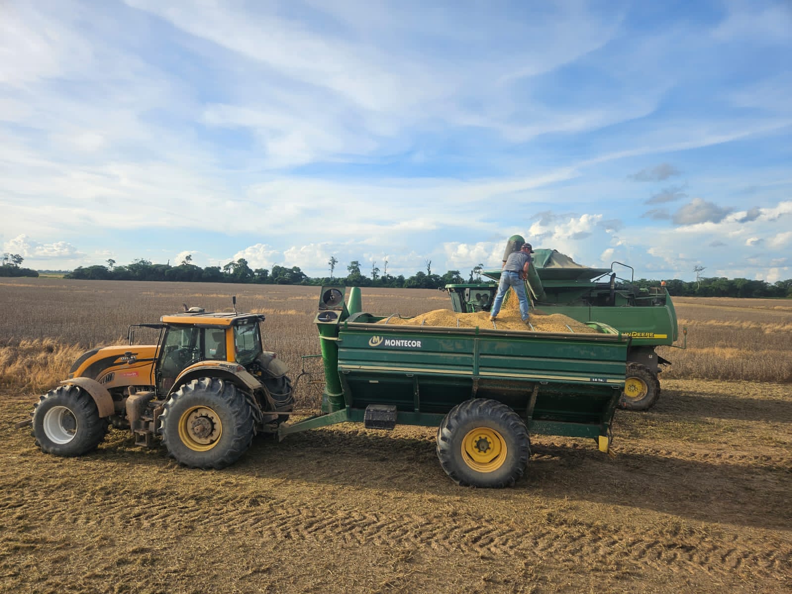 Anapo aplaude los esfuerzos para mejorar el abastecimiento de diésel y pide combatir el mercado negro
