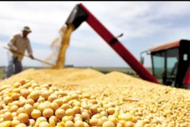 Productores esperan la liberación plena de exportaciones para garantizar certidumbre y potenciar la producción