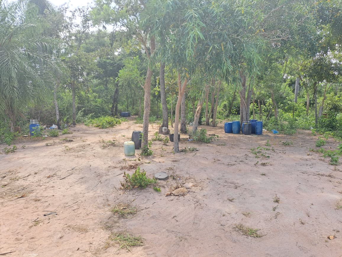 Hallan en Paraguay incinerada una avioneta con placa boliviana