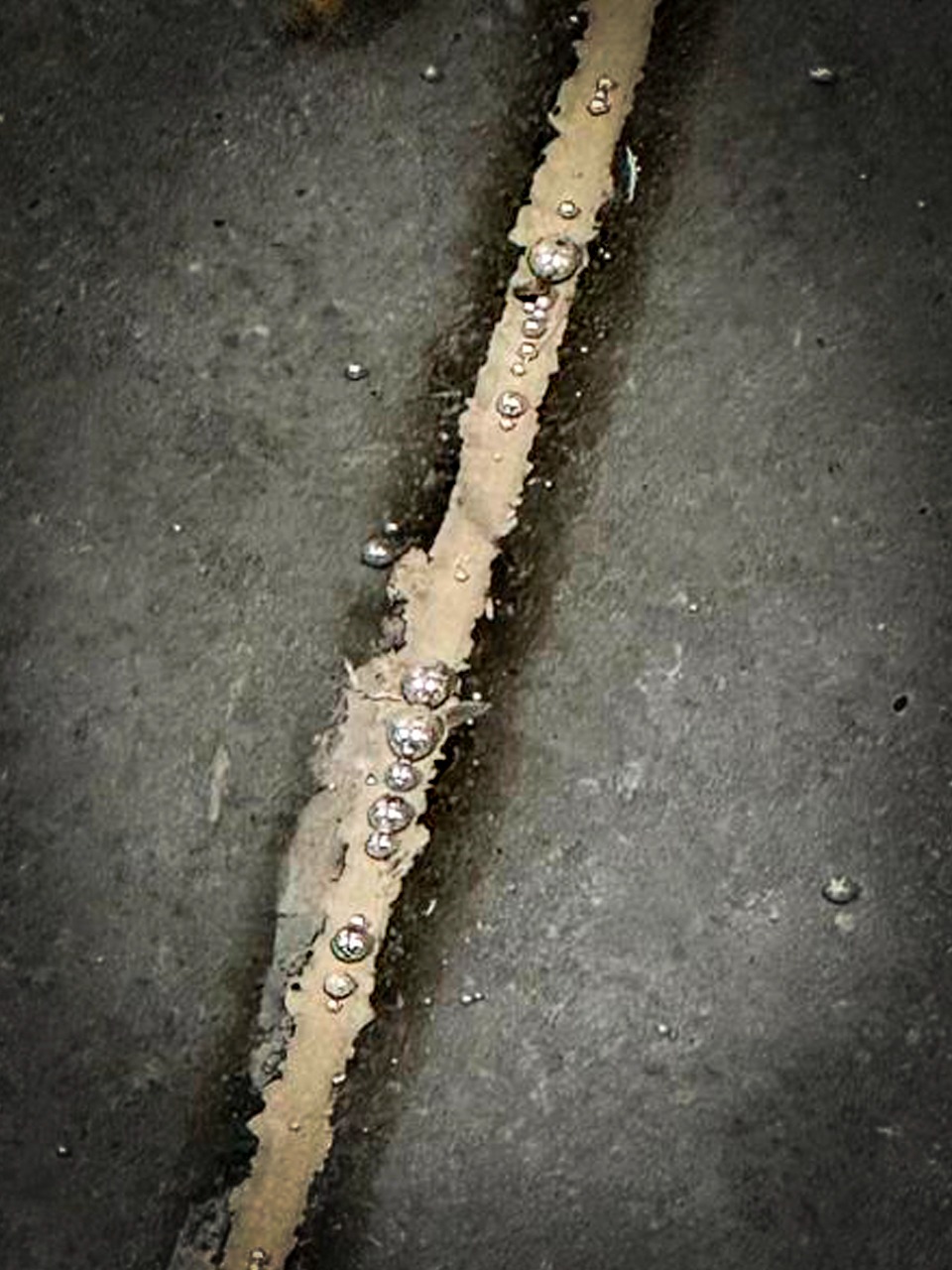 Confiscan 216 baldes de pintura con mercurio procedentes de México y  que ingresaron desde Chile