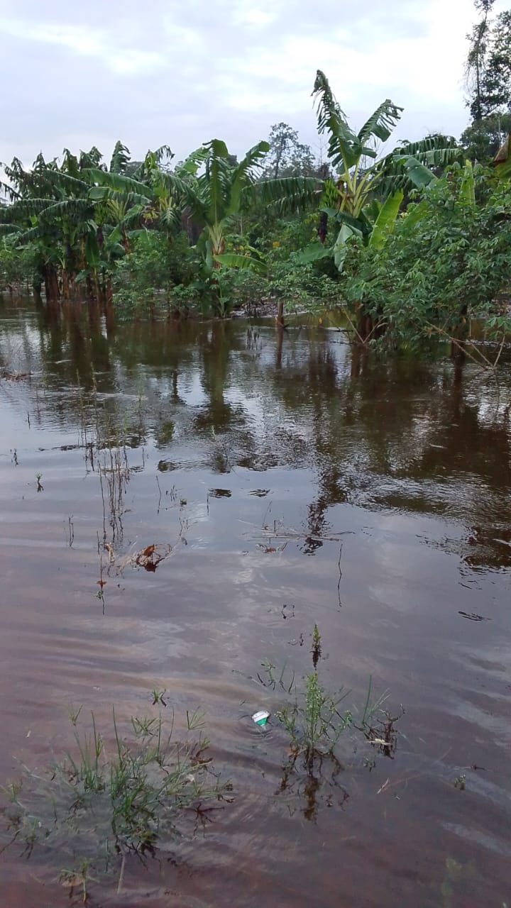 Indígenas del Tipnis llegan a La Paz, claman por ayuda ante las inundaciones