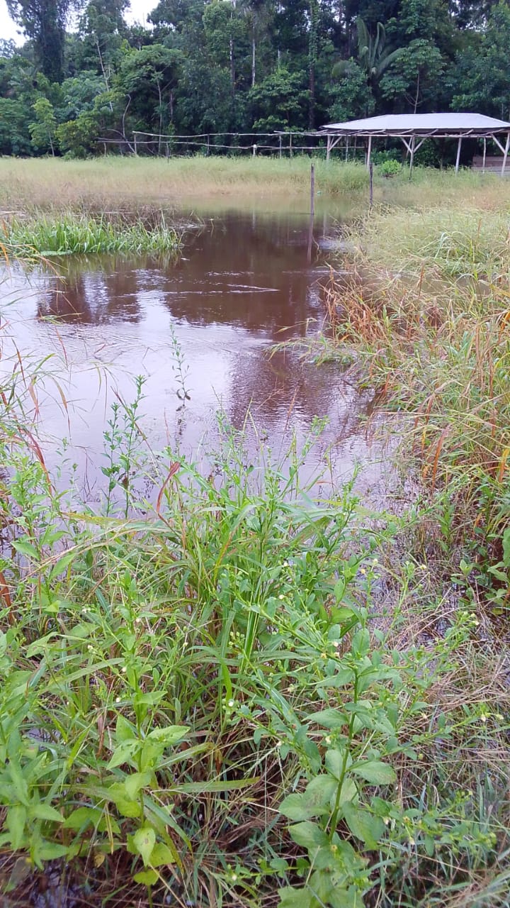 Indígenas del Tipnis llegan a La Paz, claman por ayuda ante las inundaciones
