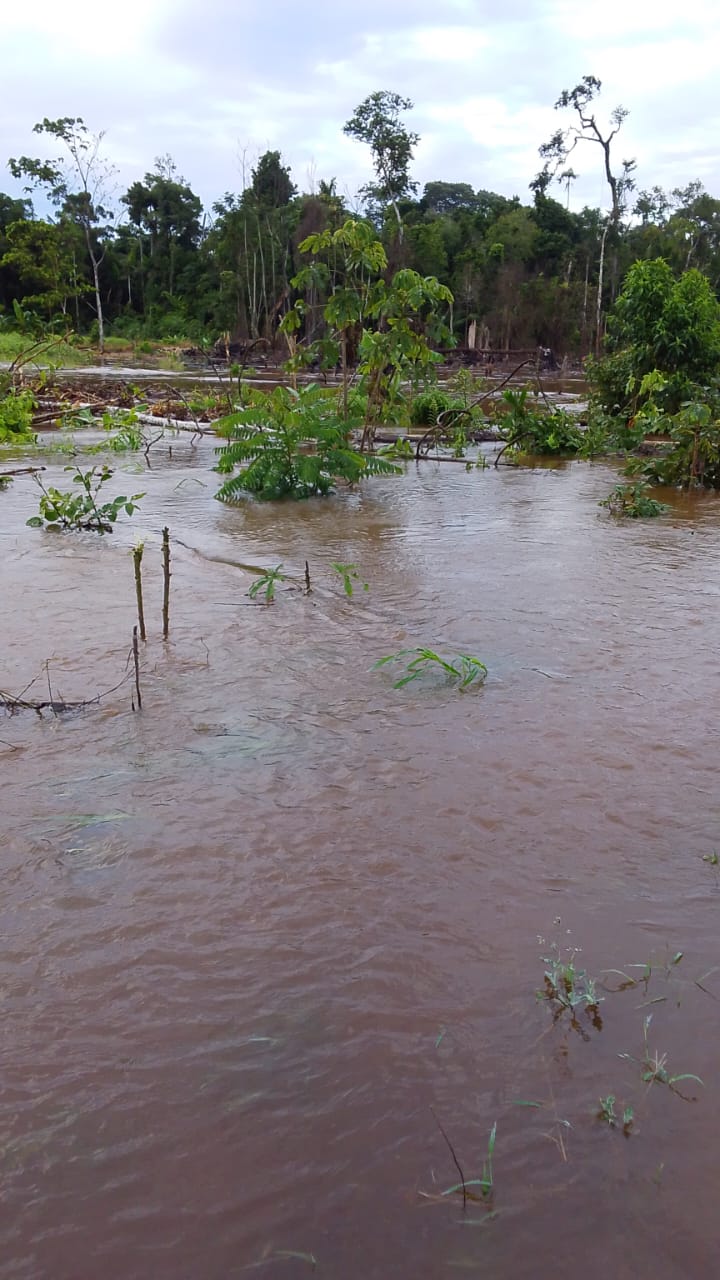 Indígenas del Tipnis llegan a La Paz, claman por ayuda ante las inundaciones