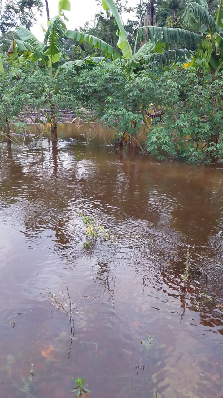 Indígenas del Tipnis llegan a La Paz, claman por ayuda ante las inundaciones