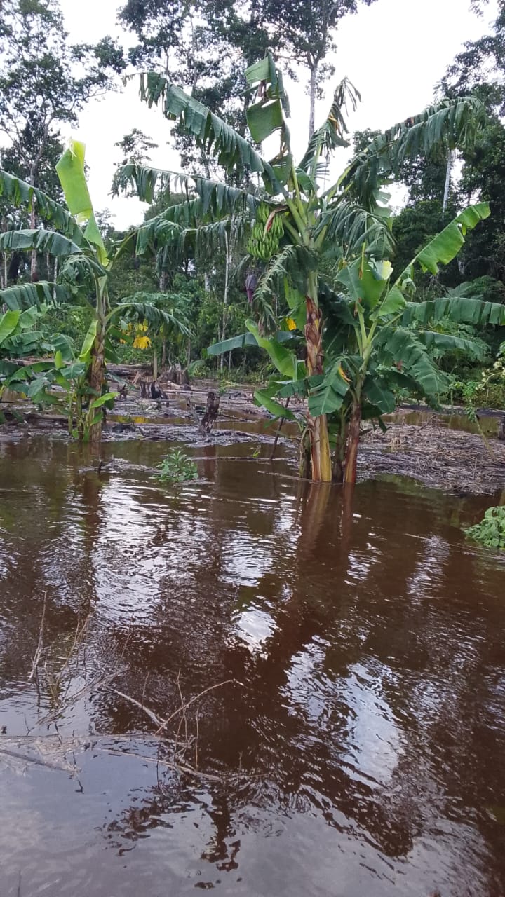 Indígenas del Tipnis llegan a La Paz, claman por ayuda ante las inundaciones