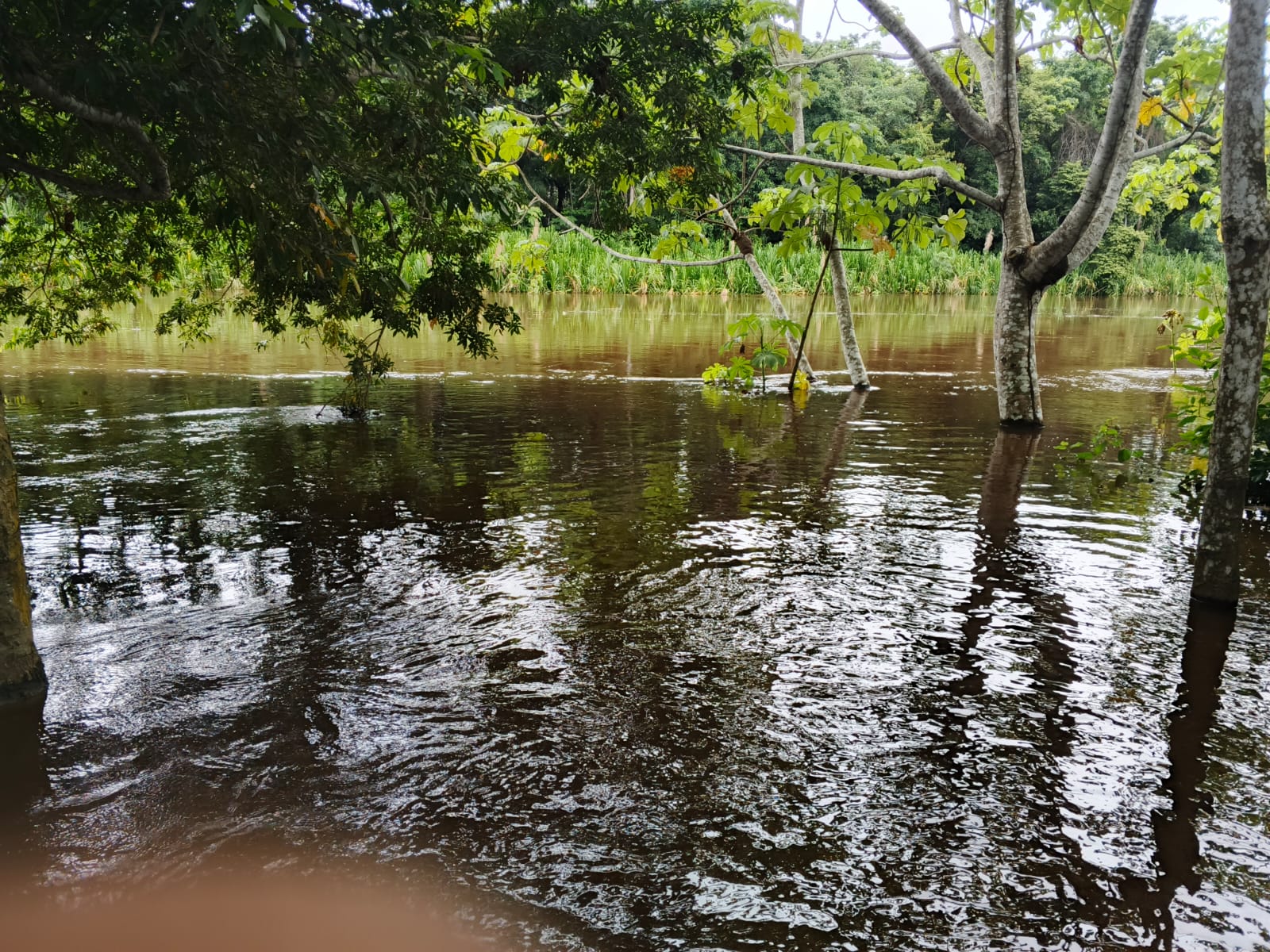 Indígenas del Tipnis llegan a La Paz, claman por ayuda ante las inundaciones