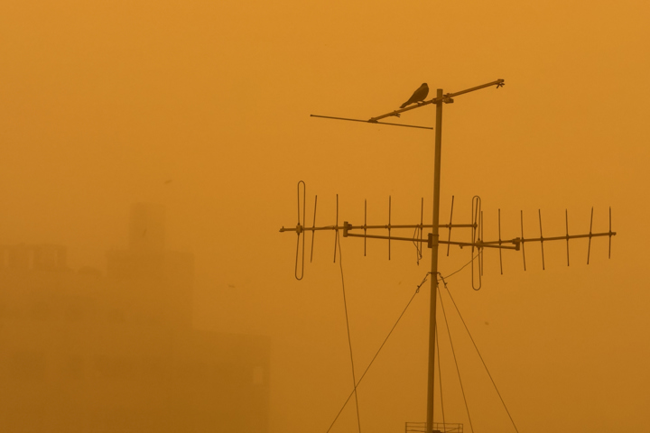 Una fuerte tormenta de arena azota Gaza y agrava la situación de los desplazados por el conflicto
