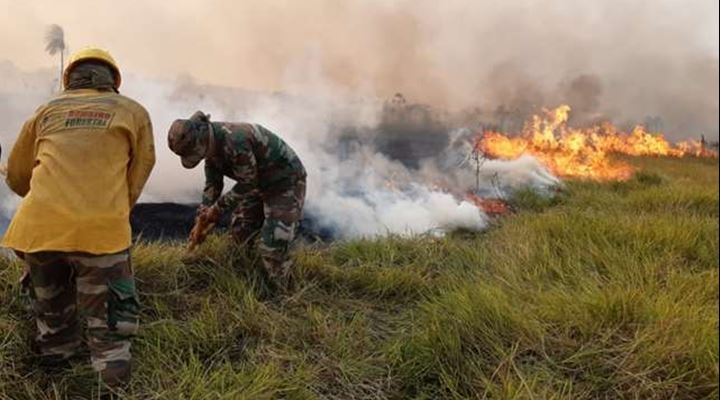 El fuego ya consumió 717.985 hectáreas y el Gobierno anuncia “ataque” con cuatro avionetas desde mañana