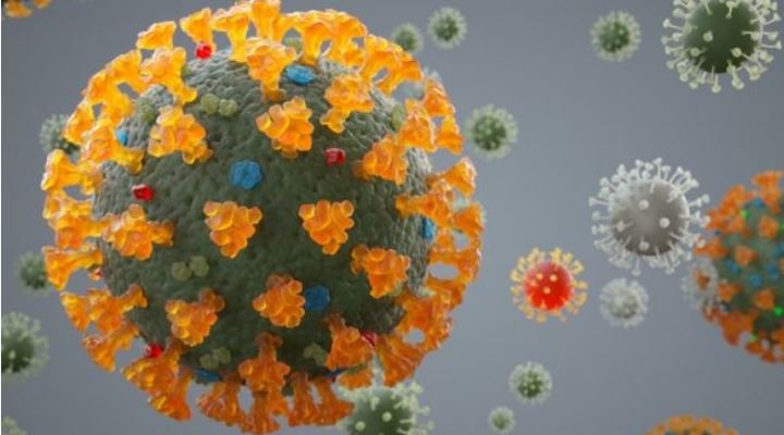 Los virus mortales que desaparecieron sin dejar rastro y qué lecciones dejaron para combatir el coronavirus
