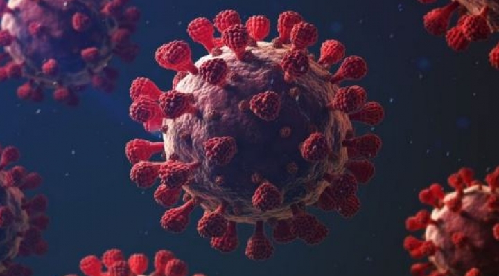 Expertos alertan de cinco características que hacen mortal al coronavirus