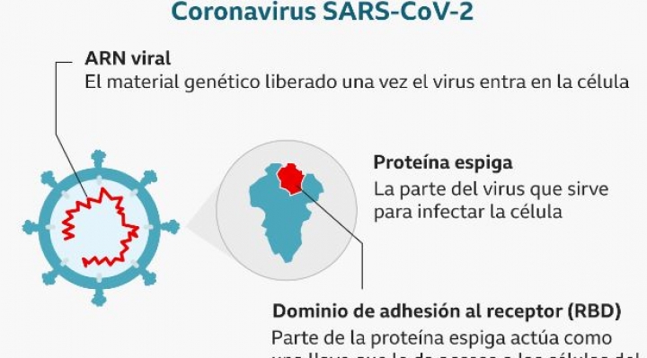 Vacuna contra el coronavirus: la OMS advierte que el mundo está al borde de un "fracaso moral catastrófico"
