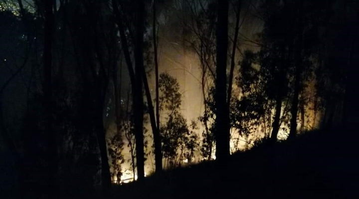 Incendios forestales en municipios aledaños a La Paz serían causados por loteadores