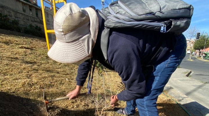 En este quinquenio plantarán 100 mil plantines en el área urbana de La Paz