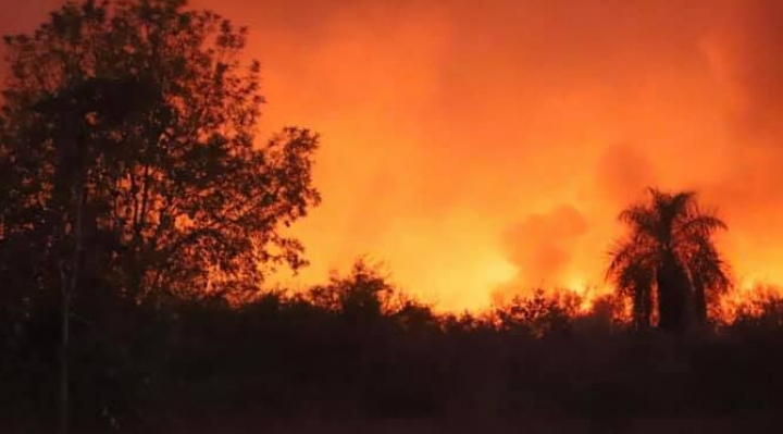 FAN registra 2.594 focos de calor en el departamento de Santa Cruz