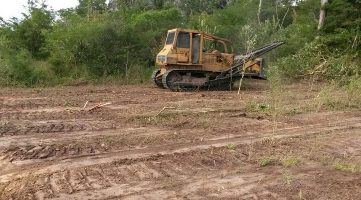 Diputados aprueban la Ley de Incentivos Tributarios para la importación de maquinaria con arancel cero