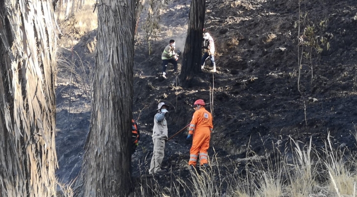 Alcaldía sostiene que si encuentra al que provocó el incendio en Pura Pura se lo sancionará