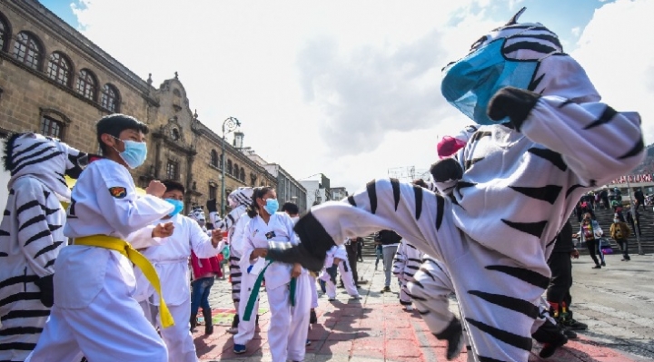 En el Día del Peatón las cebras animaron a los más pequeñitos con bailes y juegos