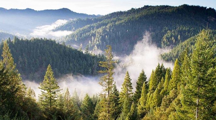 Lanzan el Premio al Reportaje sobre Biodiversidad 2021 con una nueva categoría