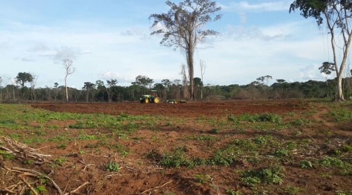 Empresarios y campesinos son parte del proceso de expansión de la frontera agrícola en Pando
