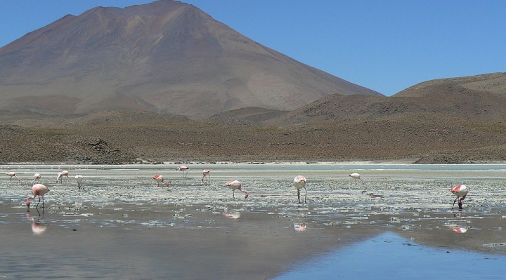 Nor Lípez plantea la aprobación de una ley para explotar el litio y alerta sobre contaminación del agua