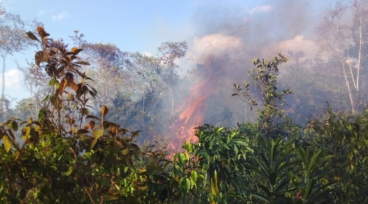 El Madidi se incendia y el auxilio se hace esperar