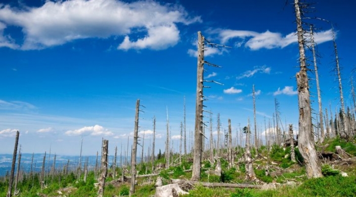 3 desastres medioambientales que casi hemos solucionado (y qué lecciones podemos aprender para la lucha contra el cambio climático)