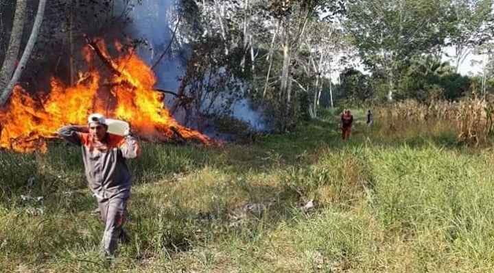 Incendio en el Pilón Lajas: Consejo Regional Tsimán Mosetén y Tacana clama por ayuda internacional