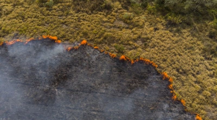 Medio ambiente: qué son las reservas de la biósfera, claves en la lucha contra el cambio climático en América Latina