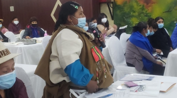 TSE identifica 3 casos de acoso y violencia política hacia las mujeres en febrero