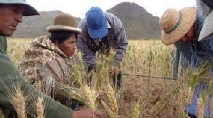 Jubileo: conflicto bélico entre Rusia y Ucrania y el Covid-19 amenazan la seguridad alimentaria en Bolivia