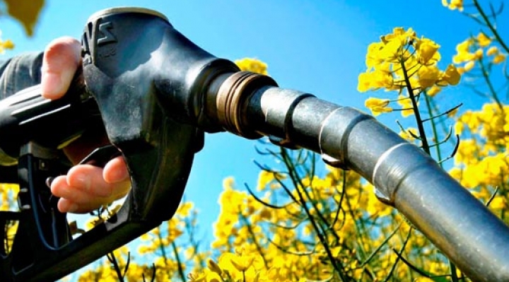 Biodiesel: YPFB pretende comprar el 2023, 405 mil Tn de materia prima para producir 9.000 barriles día 