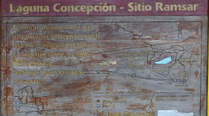 El planeta ha perdido a la Laguna Concepción