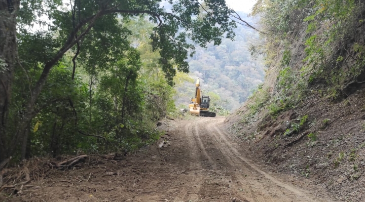 Comisión legislativa constata apertura de caminos al interior de la reserva de Tariquía