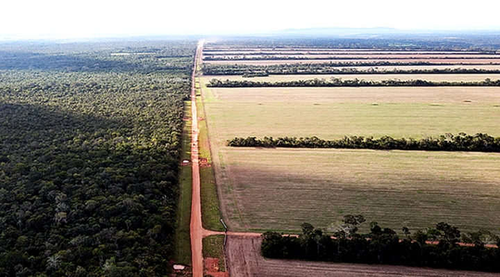 Laguna Concepción, Bolibras, y San Ignacio de Velasco son las tres áreas más afectadas por la deforestación en Santa Cruz