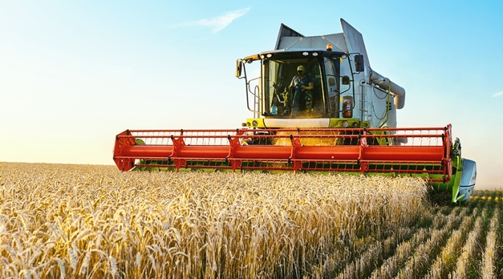 BM advierte que las restricciones comerciales están agravando la peor crisis alimentaria en una década