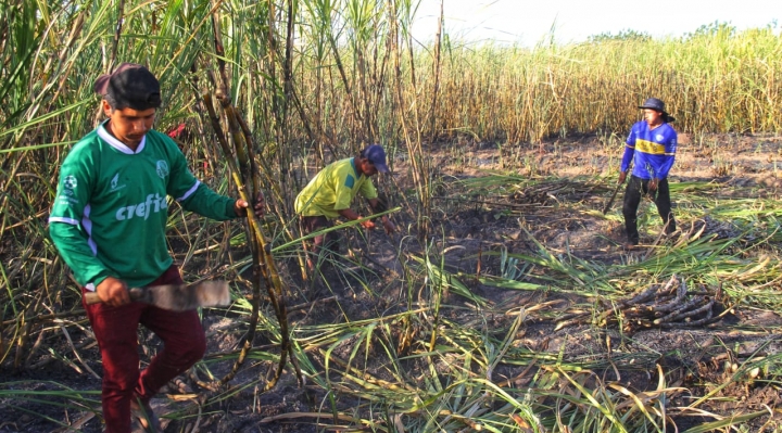 YPFB aprueba 1,8 MMpcd de gas para la zafra cañera en Bermejo