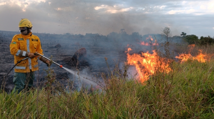 En 4 años, los incendios arrasaron con 15,5 millones de hectáreas en Bolivia