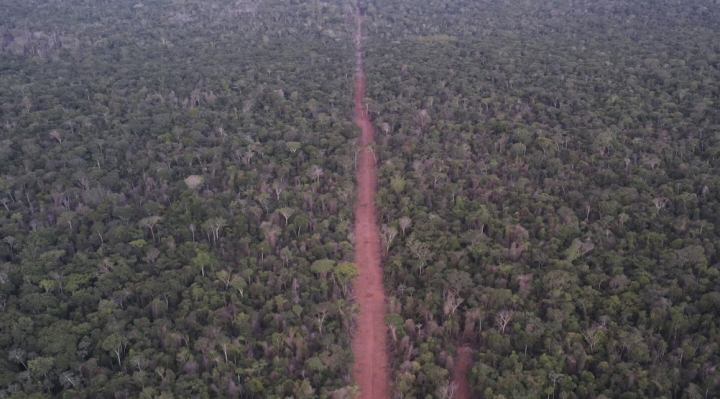 Narcotráfico penetra comunidades agrarias del oriente para lavar dinero ilícito