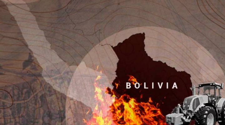 Investigación: Bolivia y Ecuador albergan los principales puntos de mayor tráfico de madera de la Amazonía