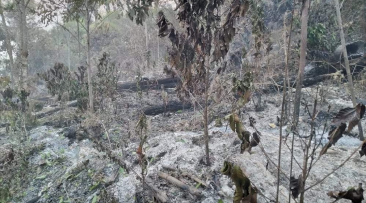 Investigadores de la UMSA reportan niveles altos de contaminación de aire en La Paz 